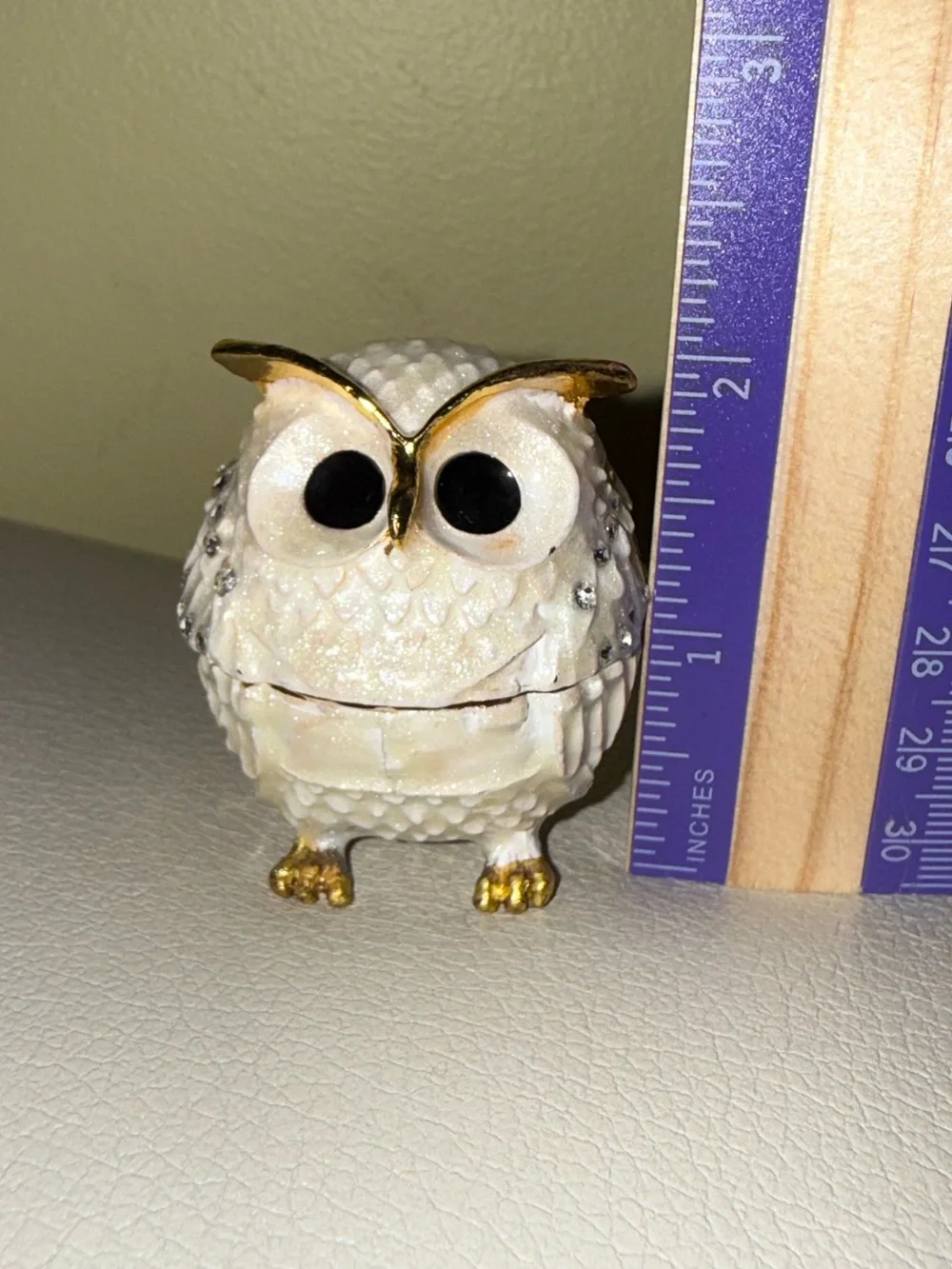 N/A charming owl